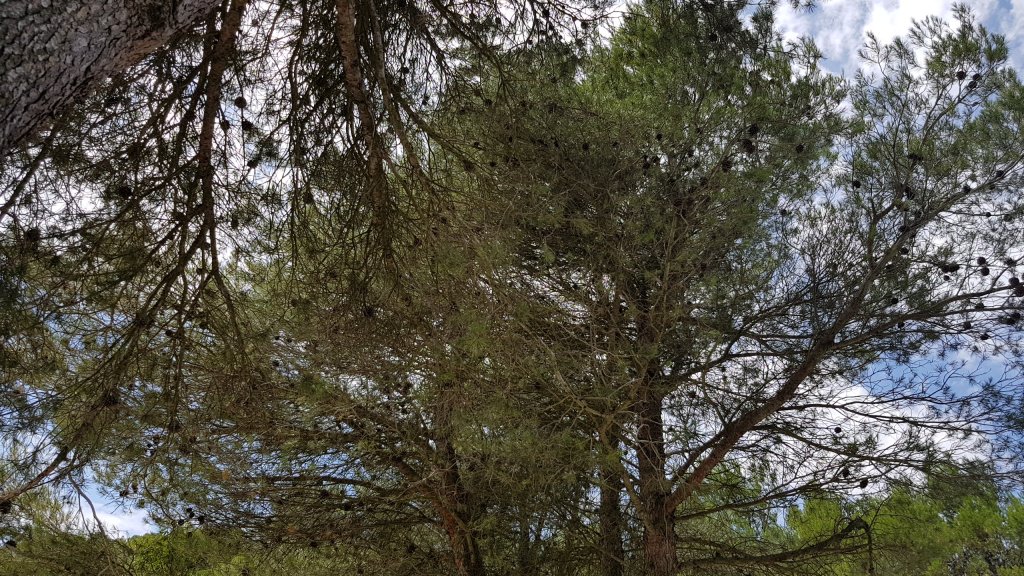 9975524-2018-07-12_14.22.45-e4da3.w1024